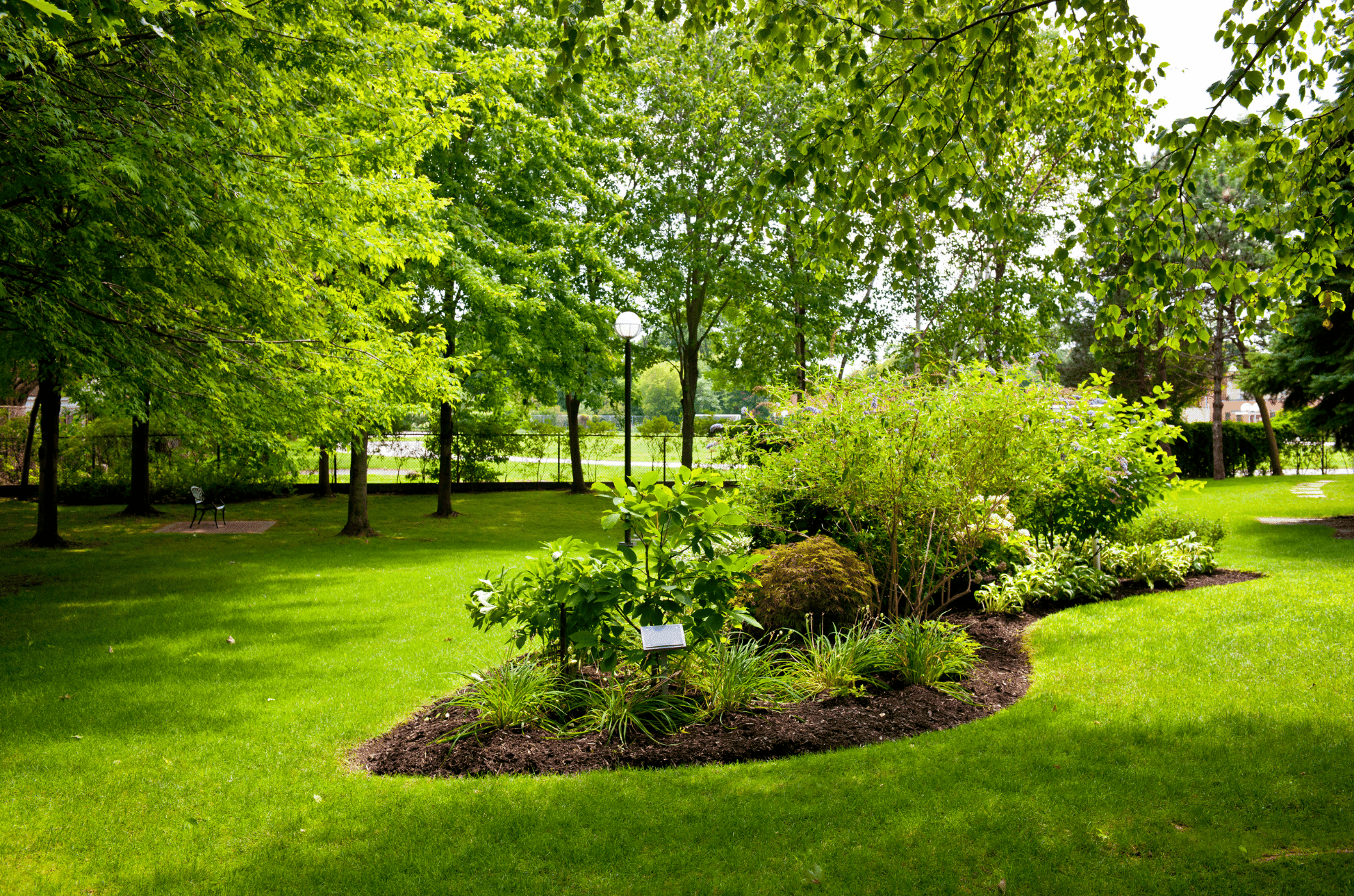 manutenzione giardini aree verdi luxer milano